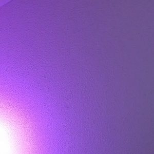 Meet your Posher, Kasey